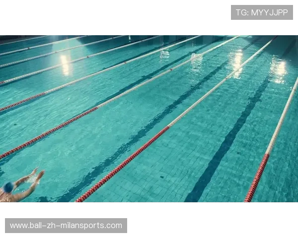 国际游泳记录认证流程透明化倡议，国际游泳证书